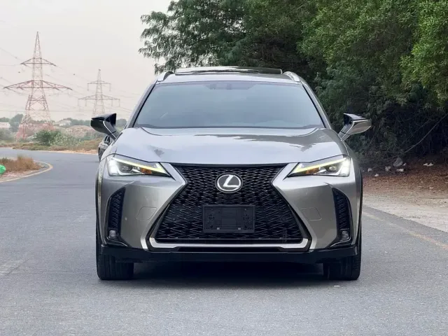 2019 Lexus UX-Series UX 200 F Sport